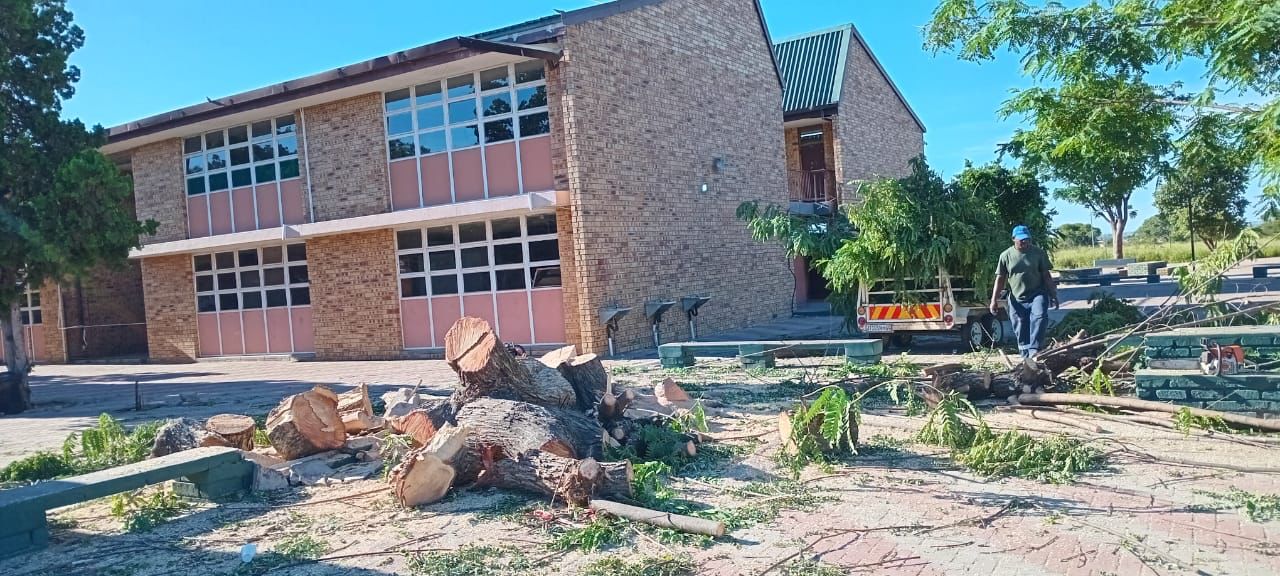 Site Clearance Project 10
