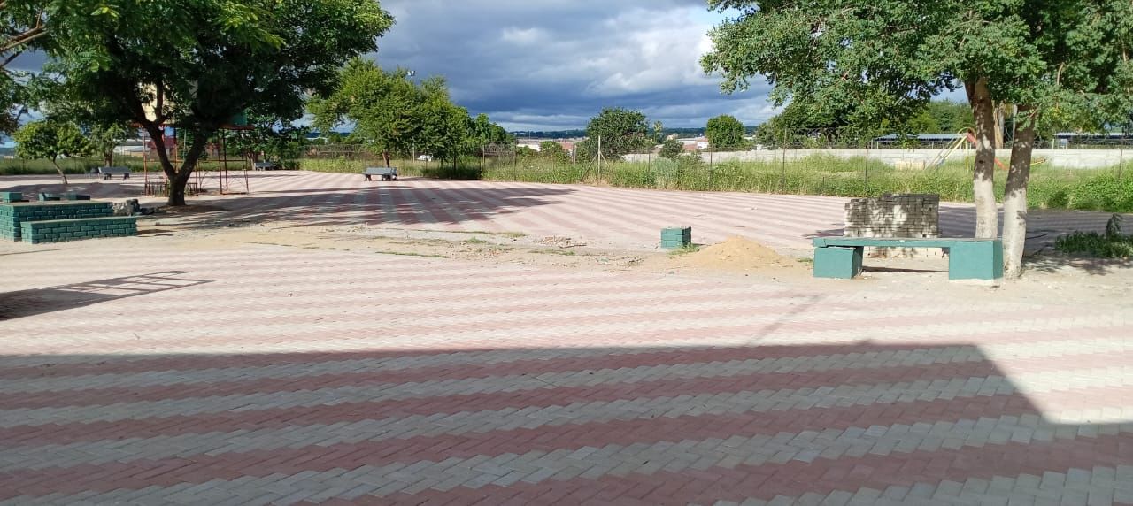 Site Clearance Project 4