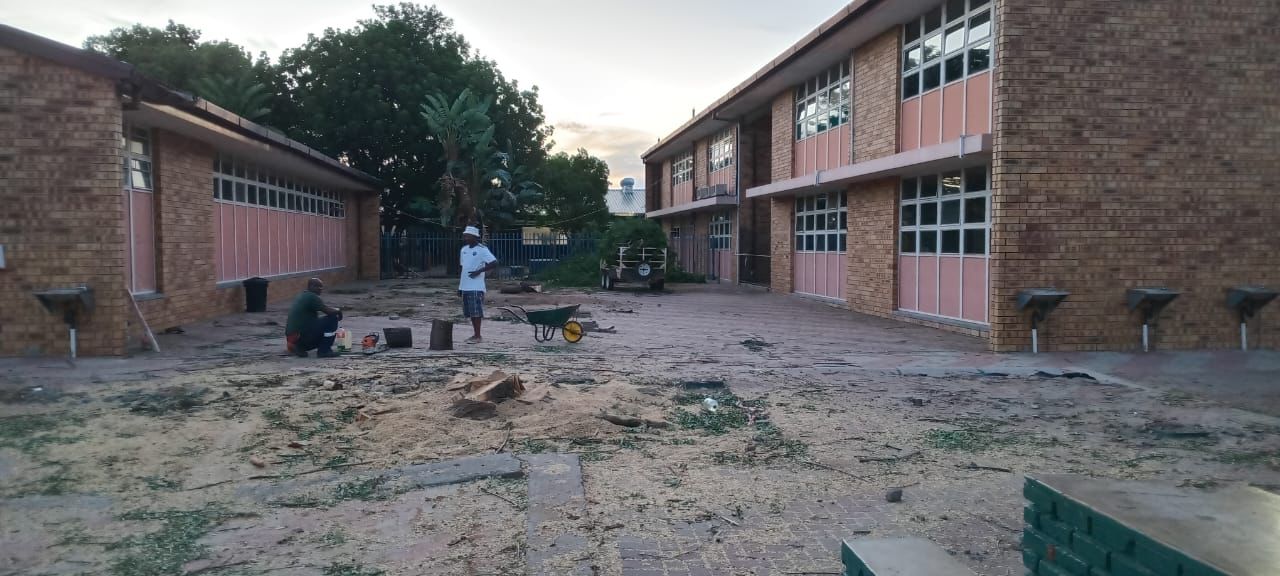 Site Clearance Project 8