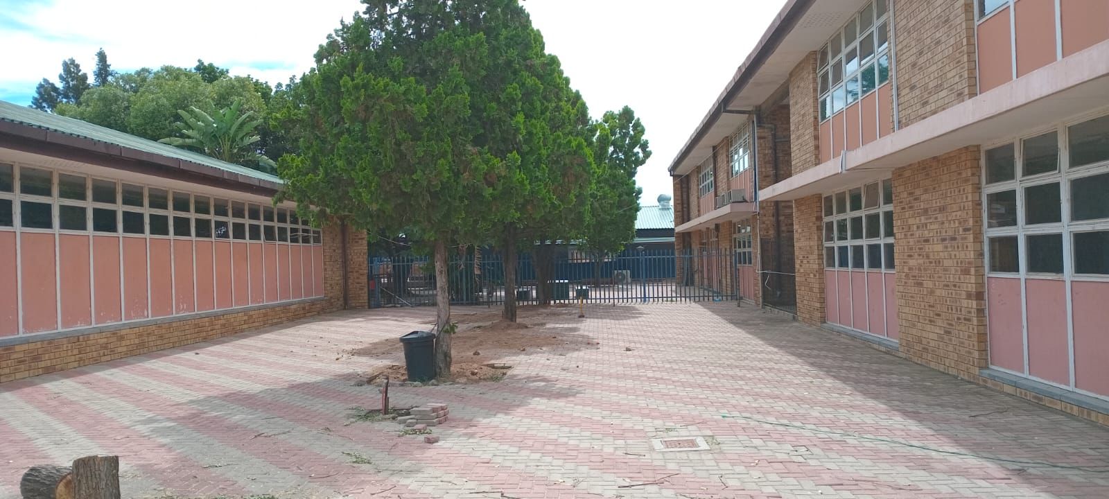 Site Clearance Project 9